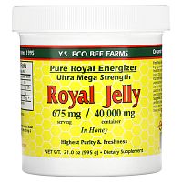 Y.S. Eco Bee Farms, Royal Jelly In Honey, 675 mg, 21.0 oz (595 g)