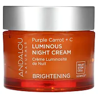 Andalou Naturals, Luminous Night Cream, Purple Carrot + C, Brightening, 1.7 fl oz (50 ml)