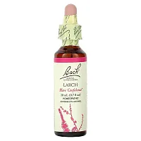 Bach, Original Flower Remedies, Larch, 0.7 fl oz (20 ml)