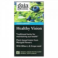 Gaia Herbs, Healthy Vision, 60 Vegan Liquid Phyto-Caps