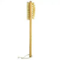 Beauty By Earth, Dry Brushing Body Brush, 1 Long Handled Brush