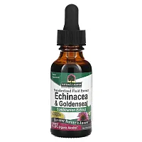 Nature&#x27;s Answer, Echinacea &amp; Goldenseal, Standardized Fluid Extract, 1 fl oz (30 ml)