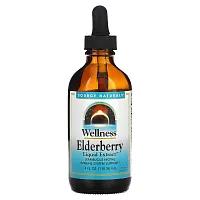 Source Naturals, Wellness, Elderberry Liquid Extract, 4 fl oz (118.28 ml)