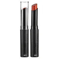 wet n wild, PerfectPout, Lip Color, 813B Extra Cinnamon, Please, 0.07 oz (2.1 g)