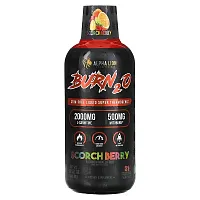 ALPHA LION, Burn2O, Scorch Berry, Rainbow Mixed Fruit, 15.72 oz (465 ml)