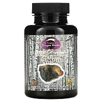 Dragon Herbs, Wild Siberian Chaga, 450 mg, 100 Capsules