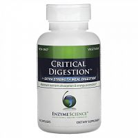 Enzyme Science, Critical Digestion, 90 Capsules