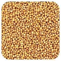 Frontier Co-op, Organic Whole Yellow Mustard Seed, 16 oz (453 g)