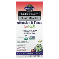 Garden of Life, Dr. Formulated Brain Health, Attention &amp; Focus for Kids, Organic Watermelon Berry, 60 Yummy Chewables