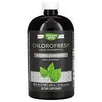 Nature's Way, Chlorofresh, жидкий хлорофилл, без добавок, 480 мл (16 жидк. унций)