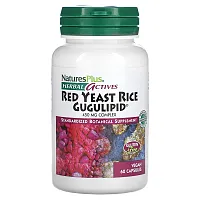 NaturesPlus, Herbal Actives, Red Yeast Rice Gugulipid, 450 mg, 60 Vegan Capsules