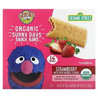 Earth&#x27;s Best, Organic Sunny Days Snack Bars, 2 Years and Up, Strawberry, 16 Bars, 0.67 oz (19 g) Each