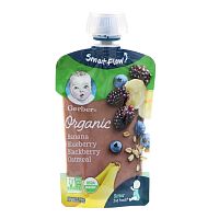 Gerber, Organic for Baby, Wonder Foods, 2nd Foods, банан, черника и ежевика, овсянка, 99 г (3,5 унции)