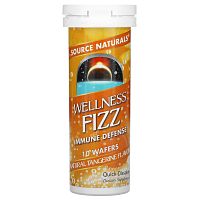 Source Naturals, Wellness Fizz, с натуральным вкусом мандарина, 10 шипучих таблеток