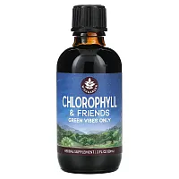 WishGarden Herbs, Chlorophyl &amp; Friends, 2 fl oz (59 ml)