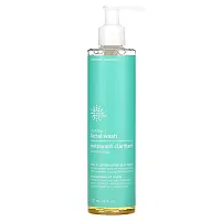 Earth Science, Clarifying Facial Wash, Oily &amp; Combination Skin Types, 8 fl oz (237 ml)