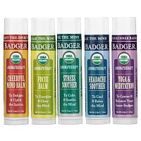 Badger Company, Aromatherapy Travel Kit, 5 Pack, .15 oz (4.3 g) Each