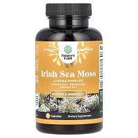 Nature&#x27;s Craft, Irish Sea Moss, 2,100 mg, 90 Capsules (700 mg per Capsule)