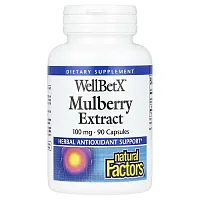 Natural Factors, WellBetX, Mulberry Extract, 100 mg, 90 Capsules