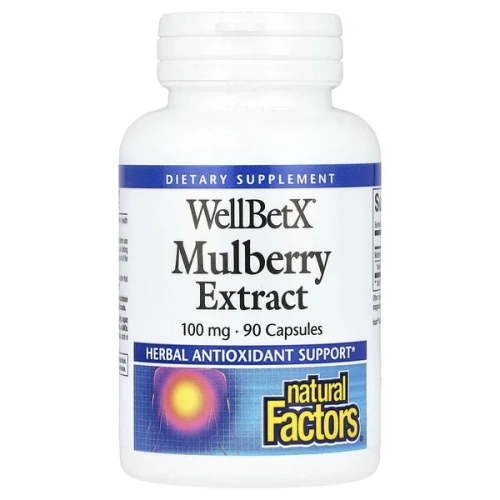 Natural Factors, WellBetX, Mulberry Extract, 100 mg, 90 Capsules