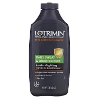 Lotrimin, Daily Sweat &amp; Odor Control Medicated Foot Powder, 6.25 oz (177 g)