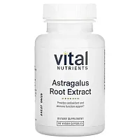 Vital Nutrients, Astragalus Root Extract, 90 Vegan Capsules