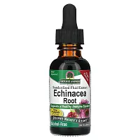 Nature&#x27;s Answer, Echinacea Root, Alcohol-Free, Grape, 1 fl oz (30 ml)