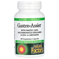 Natural Factors, Gastro-Assist™ with Mastic Gum, Saccharomyces Boulardii &amp; Zinc L-Carnosine, 60 Vegetarian Capsules