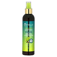 Mielle, Anti-Frizz Slip &amp; Seal Leave-In Conditioner, Avocado &amp; Tamanu , 8 fl oz (237 ml)