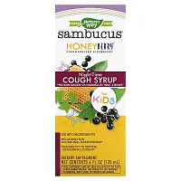 Nature&#x27;s Way, Sambucus for Kids,  HoneyBerry NightTime Cough Syrup, 4 fl oz (120 ml)