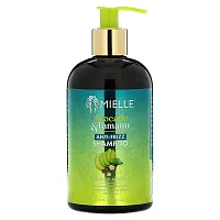 Mielle, Anti-Frizz Shampoo, Avocado &amp; Tamanu, 12 fl oz (355 ml)