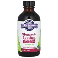 Oregon&#x27;s Wild Harvest, Stomach Soother™, Alcohol-Free, Peppermint, 4 fl oz (118 ml)