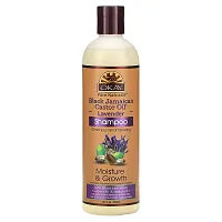 Okay Pure Naturals, Black Jamaican Castor Oil, Shampoo, Lavender, 12 fl oz (355 ml)