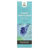 Nature&#x27;s Craft, Liquid Chlorophyll, 2 fl oz (60 ml)