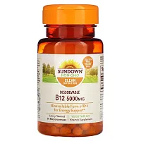 Sundown Naturals, Dissovable B12, Cherry, 5,000 mcg, 90 Microlozenges