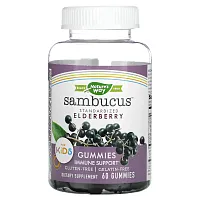 Nature's Way, Sambucus, стандартизированный экстракт бузины для детей, 60 жевательных конфет