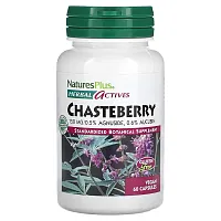 NaturesPlus, Herbal Actives, Chasteberry, 150 mg, 60 Vegan Capsules