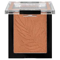 wet n wild, Color Icon Bronzer, для палм-бич, 11 г (0,38 унции)