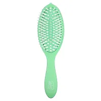 Wet Brush, Go Green Tea Tree Oil Infused Treatment &amp; Shine Brush, Green, 1 Brush