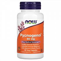 Now Foods, Pycnogenol (пикногенол), 60 мг, 50 растительных капсул