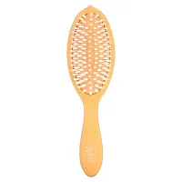 Wet Brush, Go Green Coconut Oil Infused Treatment &amp; Shine Brush, Orange, 1 Brush