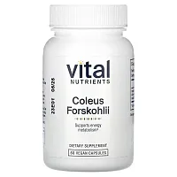 Vital Nutrients, Coleus Forskohlii, 60 Vegan Capsules