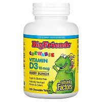 Natural Factors, Big Friends, Chewable Vitamin D3, Berry Bunch, 10 mcg, 250 Chewable Tablets