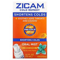 Zicam, Cold Remedy, Oral Mist, Arctic Mint, 1 fl oz (30 ml)