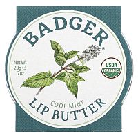 Badger Company, Масло для губ, прохладная мята, 20 г (0,7 унции)