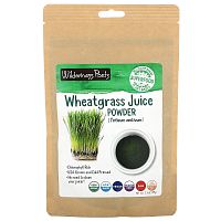 Wilderness Poets, Organic Wheatgrass Juice Powder, 3.5 oz (99 g)