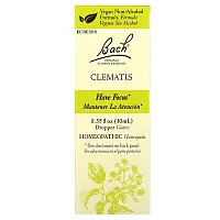 Bach, Original Flower Remedies, Clematis, 0.35 fl oz (10 ml)