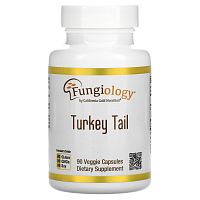 California Gold Nutrition, Fungiology, трутовик разноцветный полного спектра, 90 вегетарианских капсул